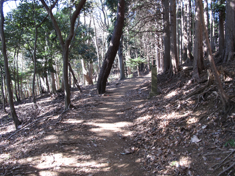20170126hike (265)